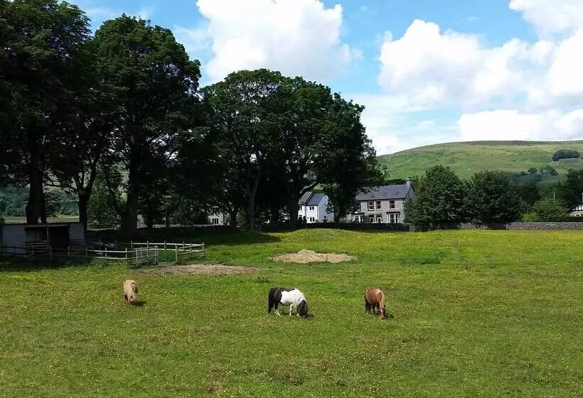 Buttercup Cottage