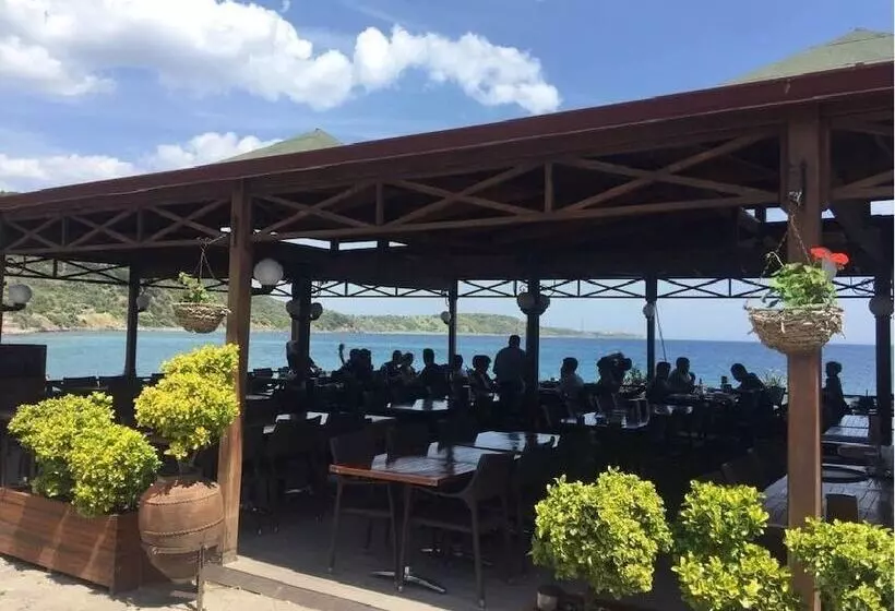 Assos Tas Ev Pansiyon