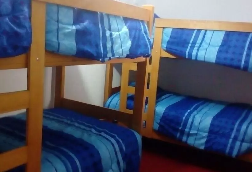 Cholo S House   Hostel