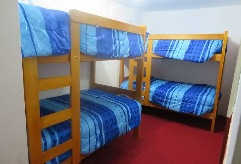 Cholo S House   Hostel