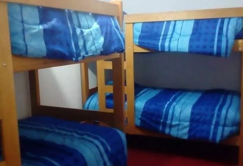 Cholo S House   Hostel