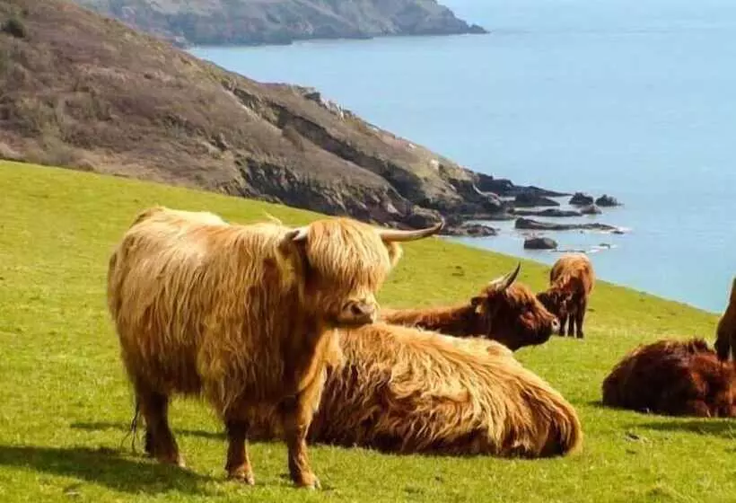 Dartmoor Valley Lodge