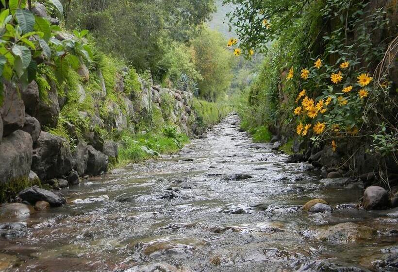 ホテル Casa San Vicente Yucay