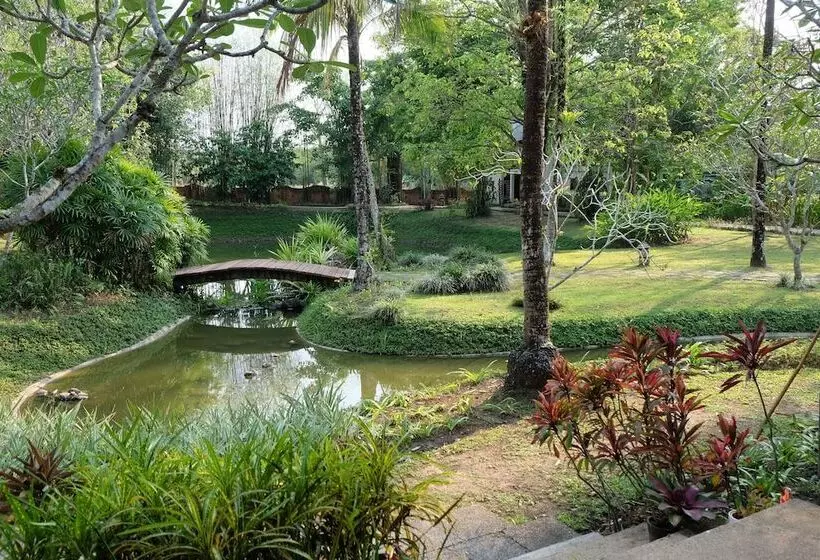 ホテル Dala Hide Away Chiang Rai