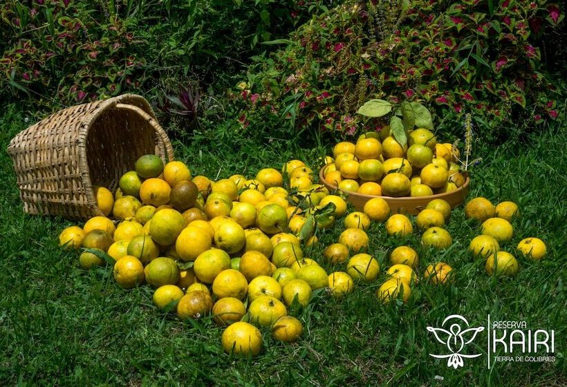 בית מלון כפרי Reserva Kairi