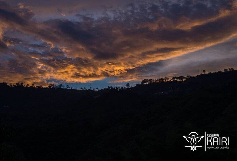 בית מלון כפרי Reserva Kairi