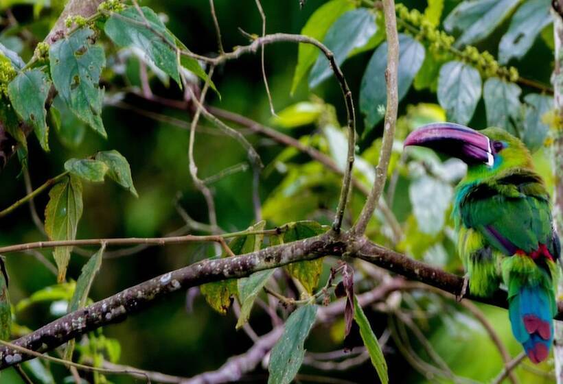 בית מלון כפרי Reserva Kairi