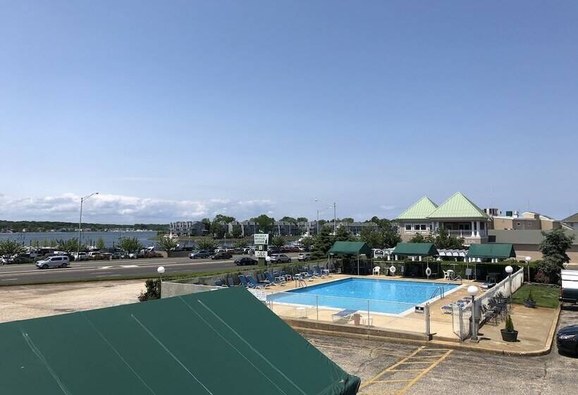 汽车旅馆 Belmar Motor Lodge