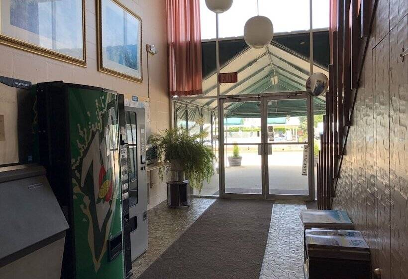 汽车旅馆 Belmar Motor Lodge