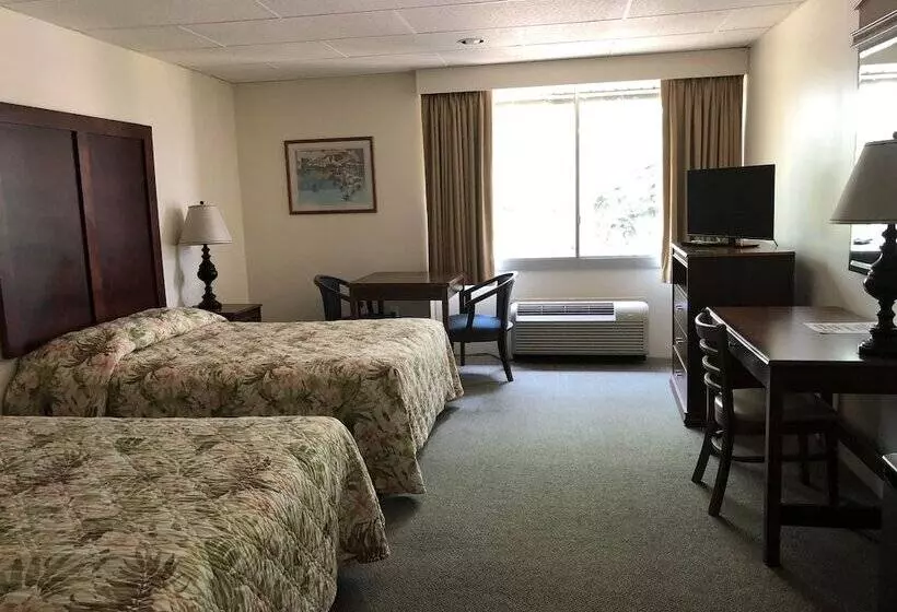 モーテル Belmar Motor Lodge