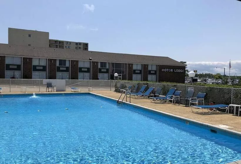 モーテル Belmar Motor Lodge