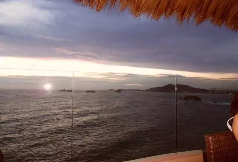 Palmetto Ixtapa 313