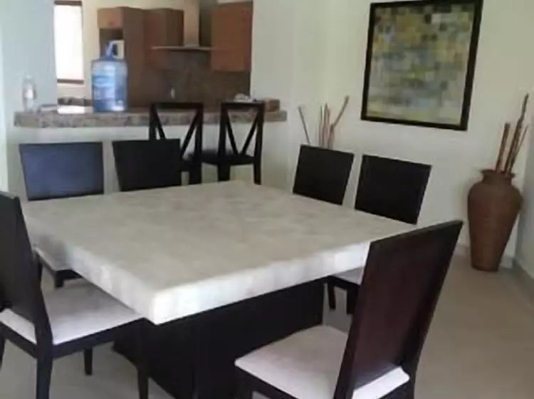 Palmetto Ixtapa 313
