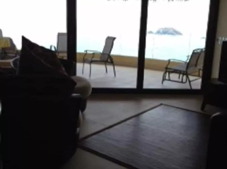 Palmetto Ixtapa 313