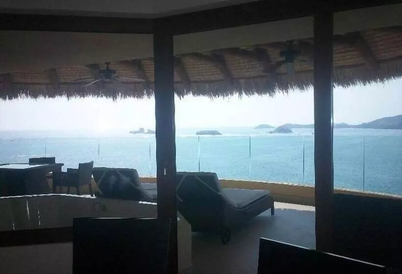 Palmetto Ixtapa 313