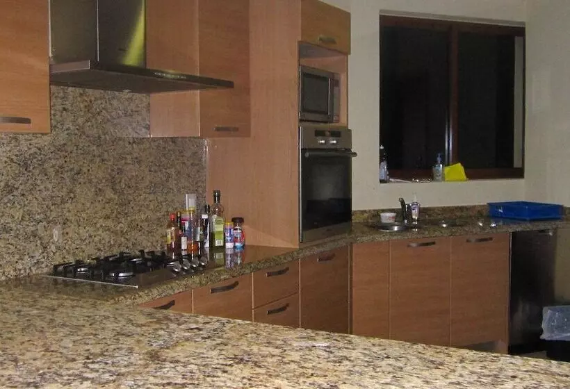 Palmetto Ixtapa 313
