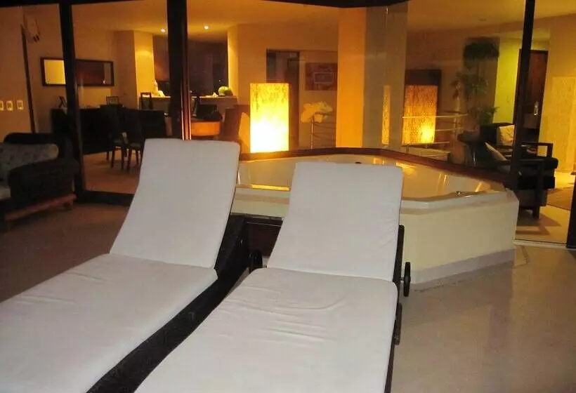 Palmetto Ixtapa 313