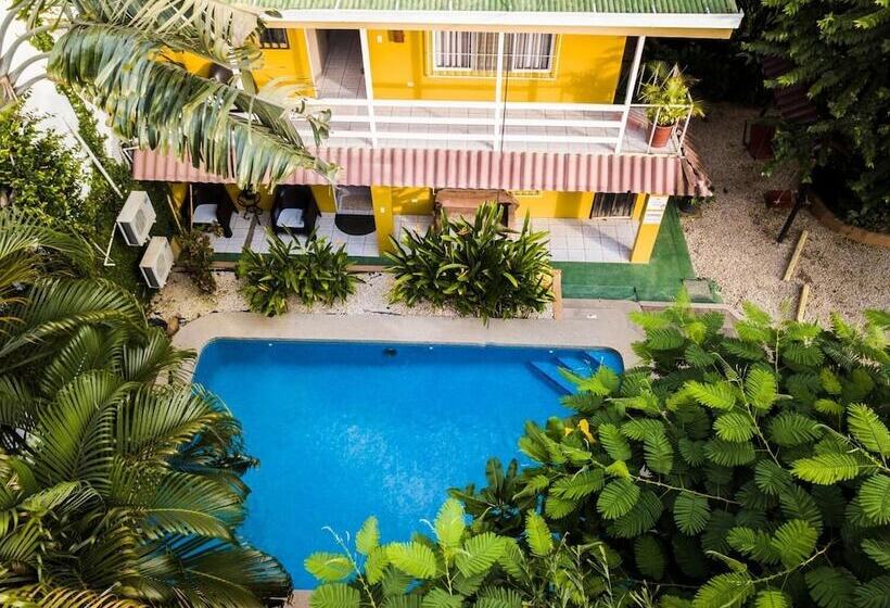 پانسیون Laura S House Bed & Breakfast