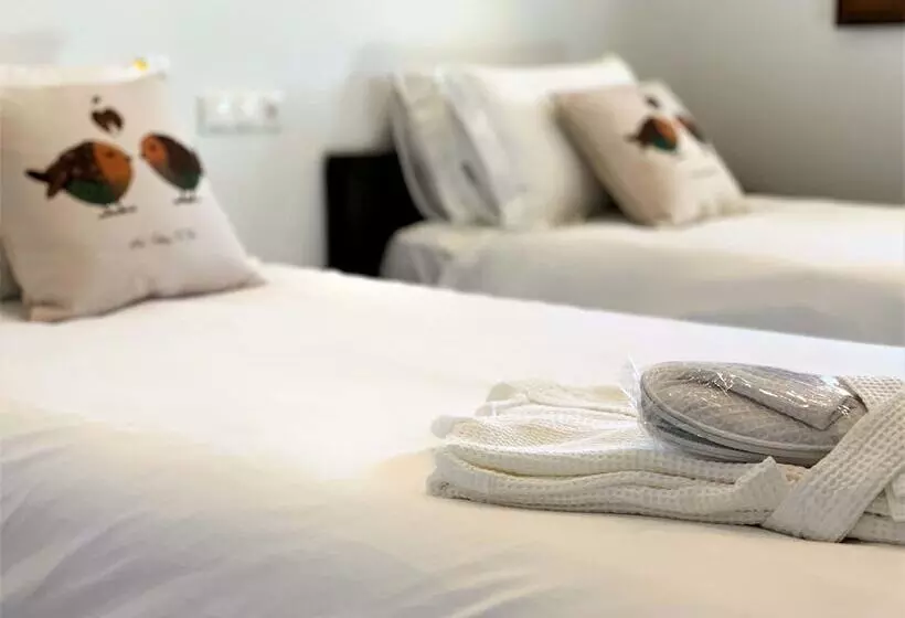 ベッドアンドブレックファースト El Amparo