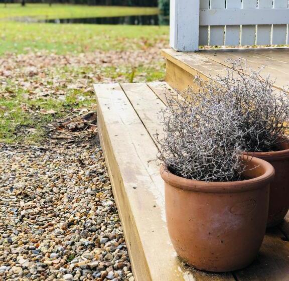 Bed and Breakfast Pension Lærkelill