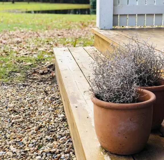 Aamiaismajoitus (B&B) Pension Lærkelill