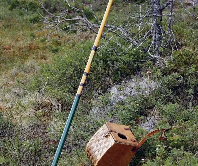 Byvägen 30 Bed & Breakfast