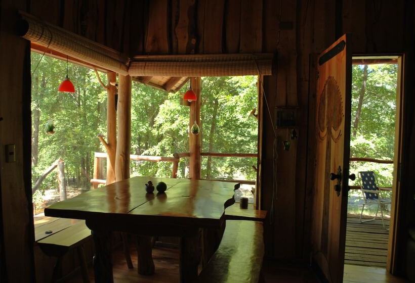 Casa Alto Palguin Pucón