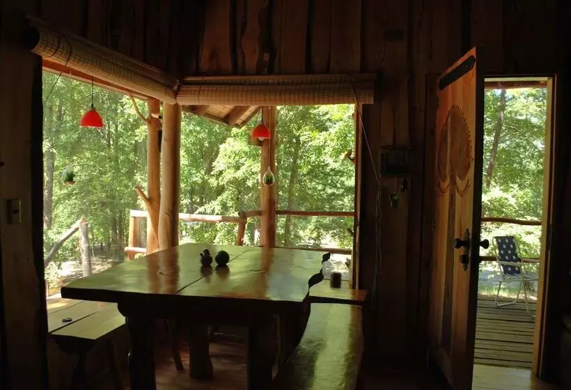 Casa Alto Palguin Pucón