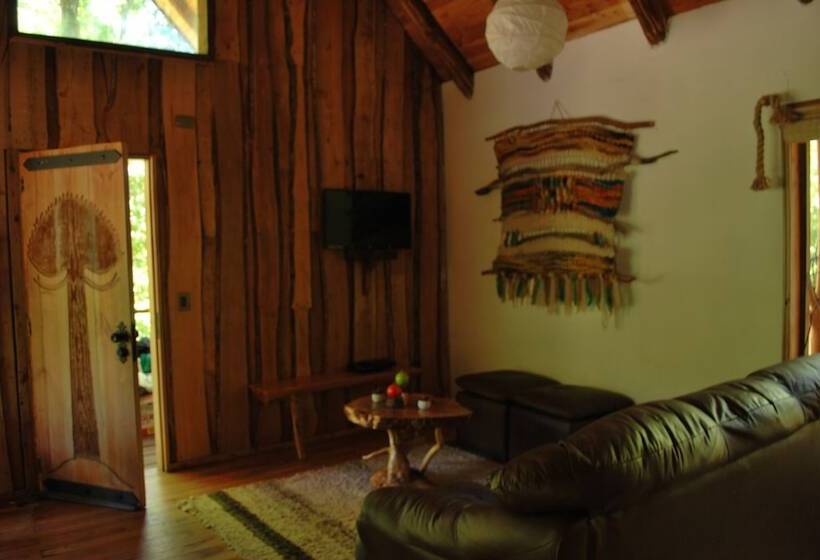 Casa Alto Palguin Pucón