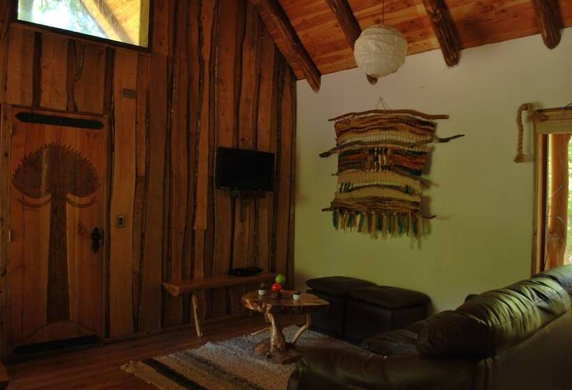 Casa Alto Palguin Pucón