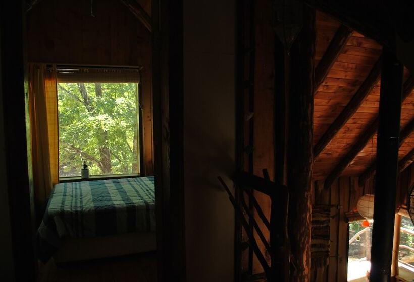 Casa Alto Palguin Pucón