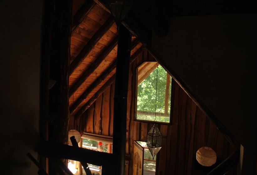 Casa Alto Palguin Pucón