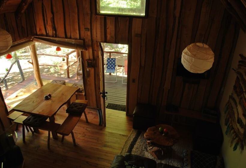 Casa Alto Palguin Pucón