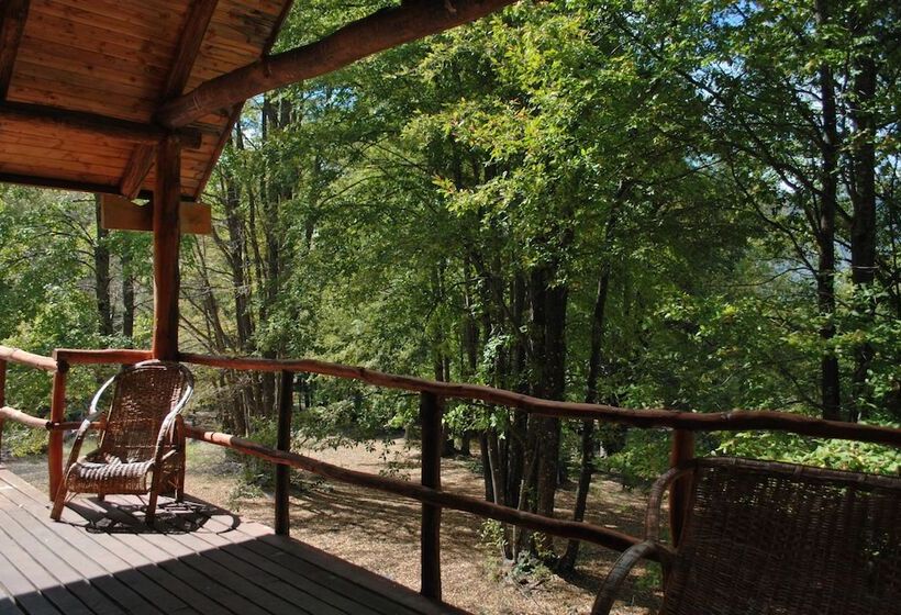 Casa Alto Palguin Pucón