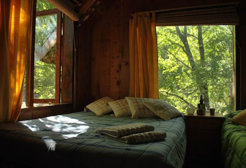 Casa Alto Palguin Pucón