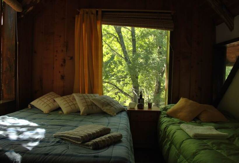 Casa Alto Palguin Pucón