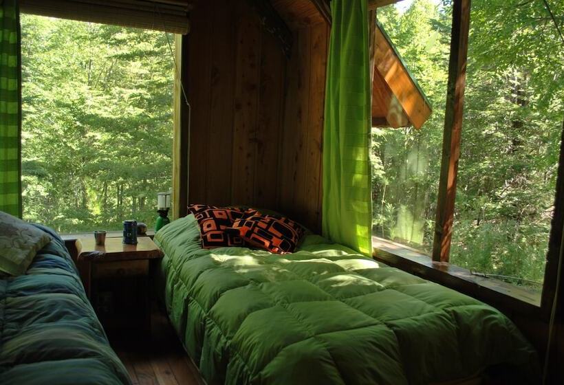 Casa Alto Palguin Pucón