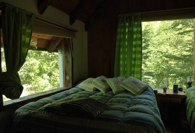 Casa Alto Palguin Pucón