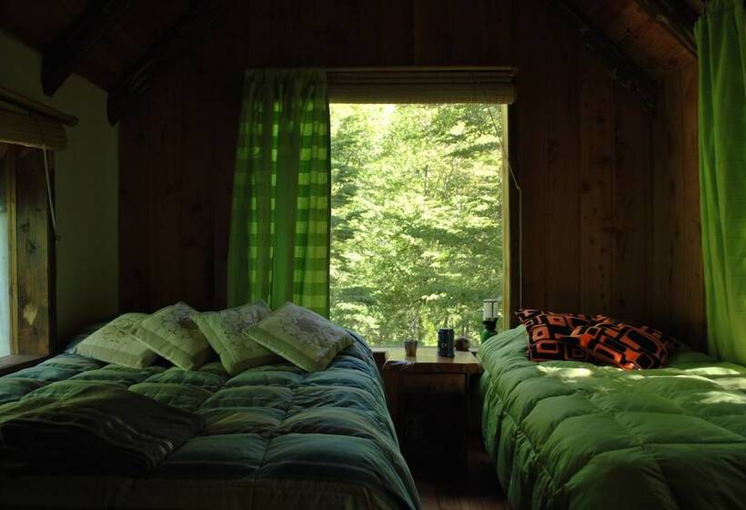 Casa Alto Palguin Pucón