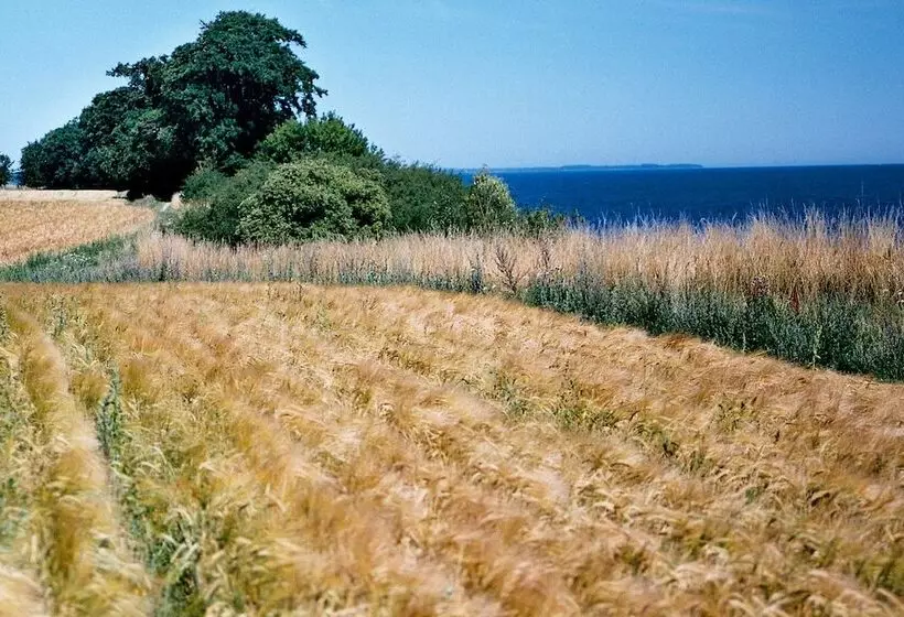 Feddet Strand Resort