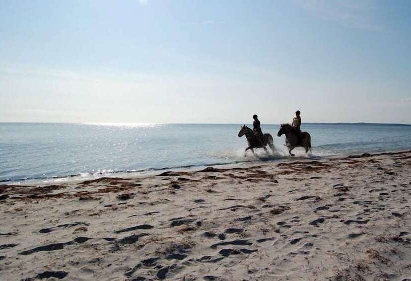 Feddet Strand Resort