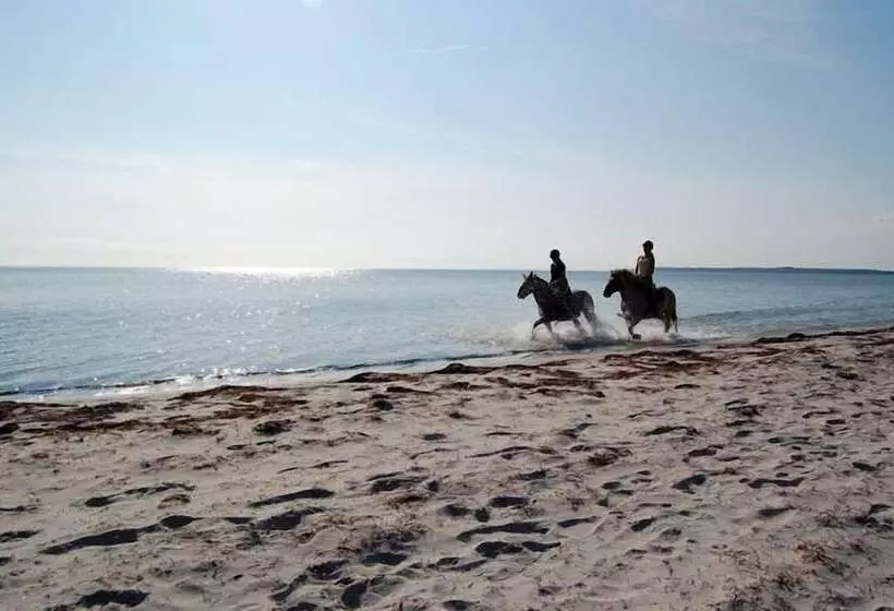 Feddet Strand Resort