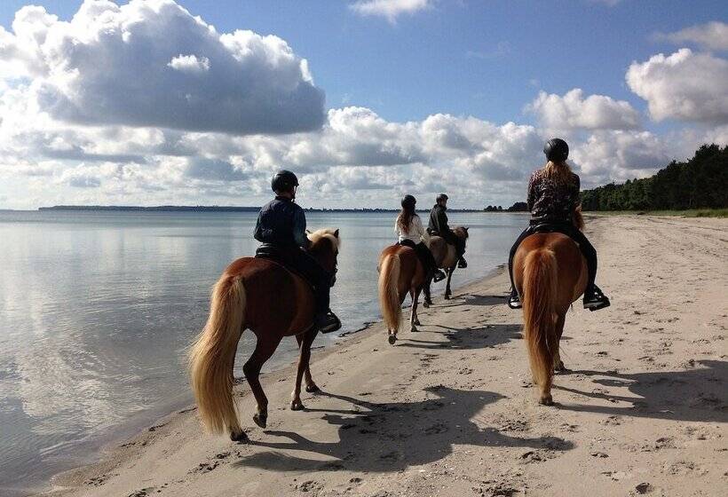 Feddet Strand Resort