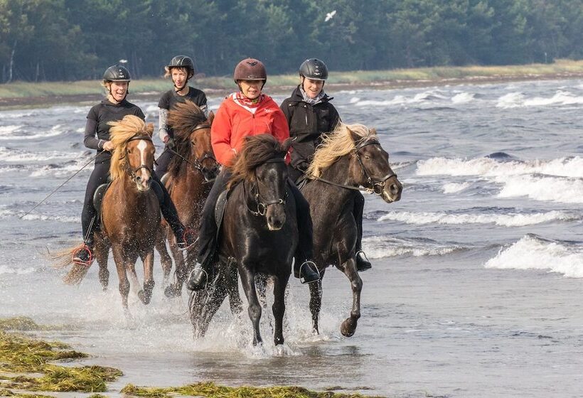 Feddet Strand Resort