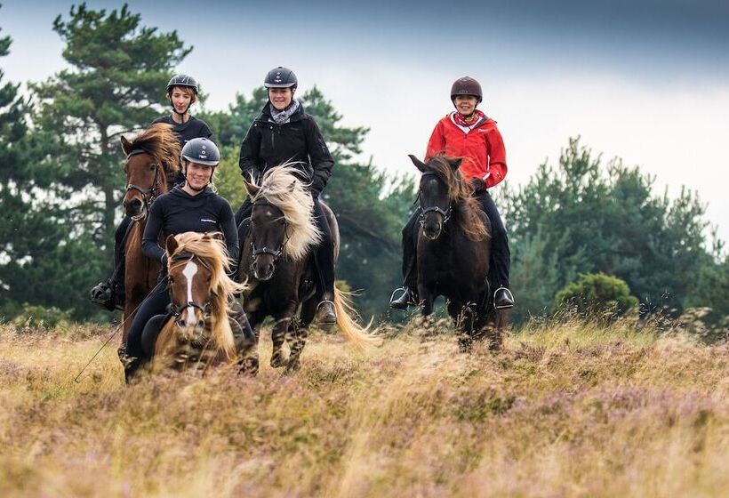 Feddet Strand Resort