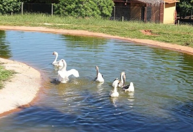 فندق ريفى Fazenda Jacaúna