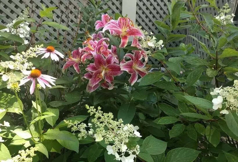 ペンション Lake Ripley Lodge W Lake Front Rooms, Grand Porch, Kayaks & Paddleboard