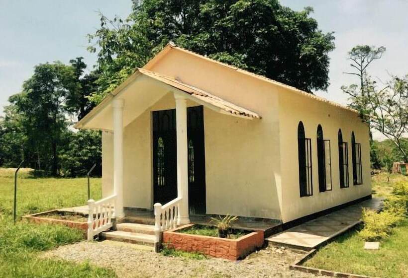 پانسیون New Western