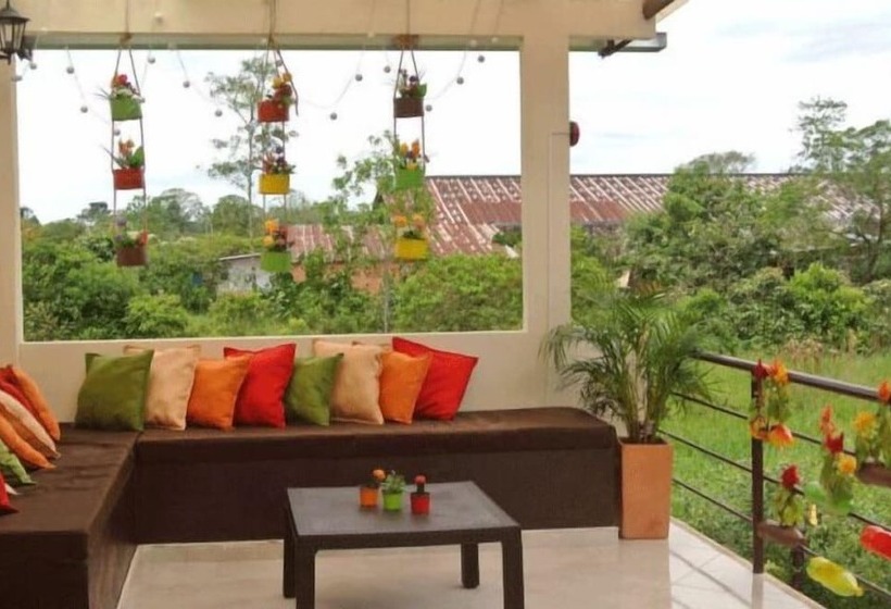 پانسیون New Western