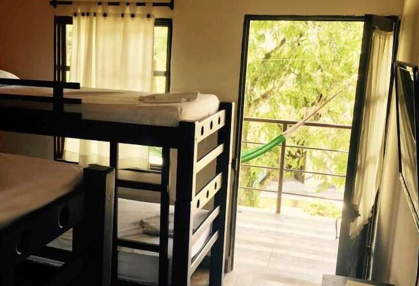 پانسیون New Western